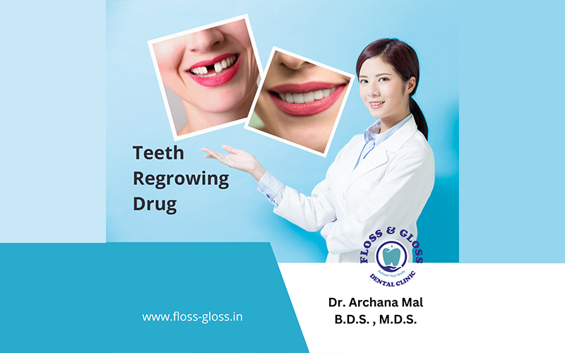 Teeth Regrowing Drug: Trial in Japan